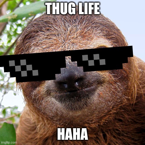 thug |  THUG LIFE; HAHA | image tagged in memes,sloth,thug life | made w/ Imgflip meme maker