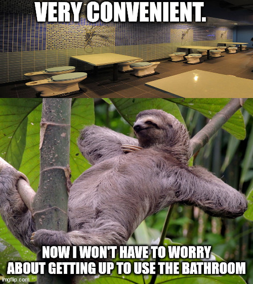 Lazy Sloth | VERY CONVENIENT. NOW I WON'T HAVE TO WORRY ABOUT GETTING UP TO USE THE BATHROOM | image tagged in lazy sloth | made w/ Imgflip meme maker