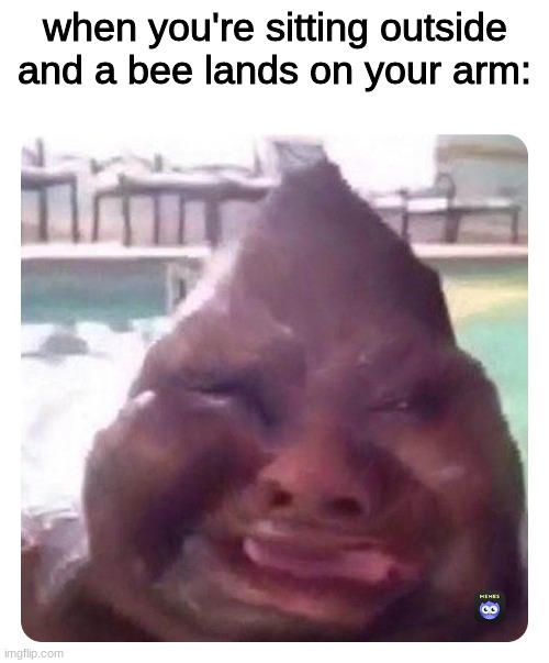 b e e | when you're sitting outside and a bee lands on your arm: | image tagged in funny | made w/ Imgflip meme maker