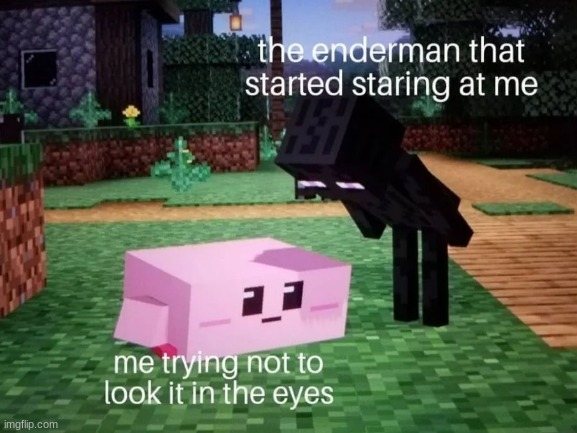 hmmm yes the floor is made out of floor | image tagged in minecraft,enderman,pain | made w/ Imgflip meme maker