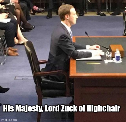 Lil Lord Zuck | His Majesty, Lord Zuck of Highchair | image tagged in funny | made w/ Imgflip meme maker