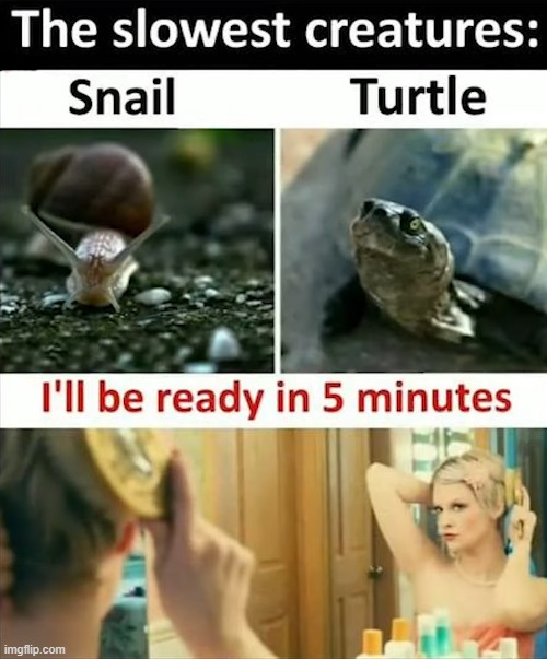 image tagged in repost | made w/ Imgflip meme maker