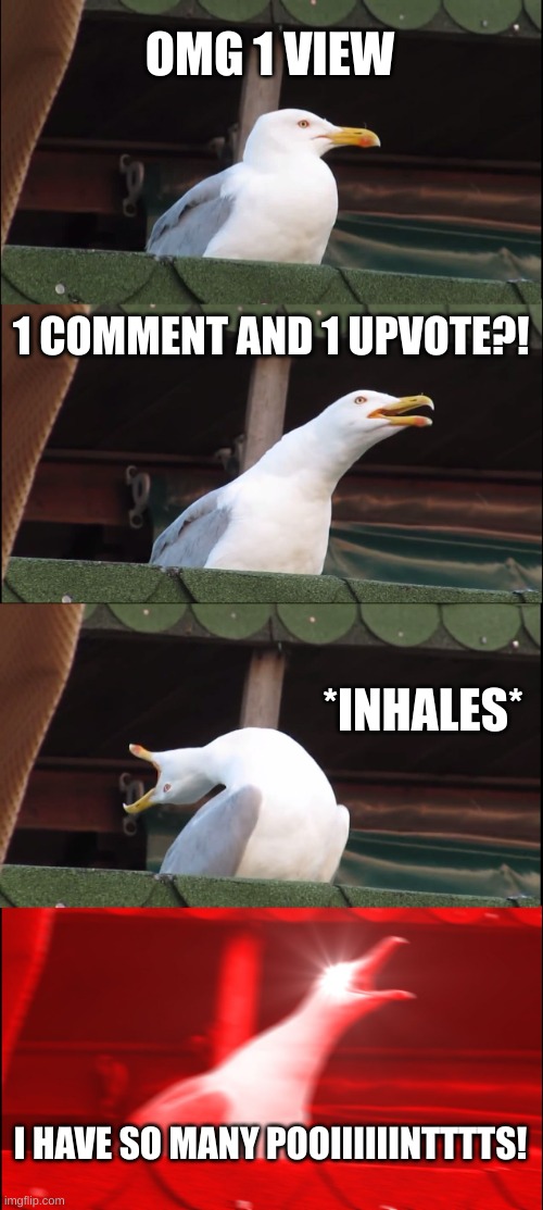memes | OMG 1 VIEW; 1 COMMENT AND 1 UPVOTE?! *INHALES*; I HAVE SO MANY POOIIIIIINTTTTS! | image tagged in memes,inhaling seagull | made w/ Imgflip meme maker