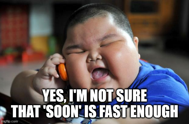 Fat Asian Kid | YES, I'M NOT SURE THAT 'SOON' IS FAST ENOUGH | image tagged in fat asian kid | made w/ Imgflip meme maker