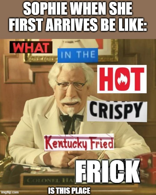 No longer a dead stream! or trying to make that true anyways |  SOPHIE WHEN SHE FIRST ARRIVES BE LIKE:; FRICK; IS THIS PLACE | image tagged in what in the hot crispy kentucky fried frick | made w/ Imgflip meme maker