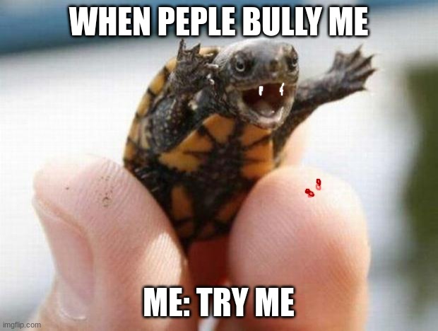 happy baby turtle | WHEN PEPLE BULLY ME; ME: TRY ME | image tagged in happy baby turtle | made w/ Imgflip meme maker