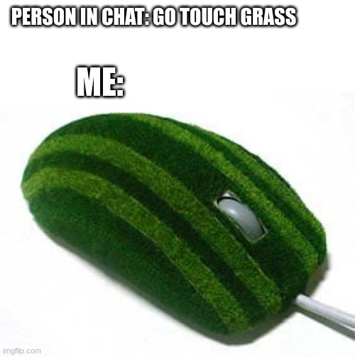 Grass mouse is here(Hear it all the time) | PERSON IN CHAT: GO TOUCH GRASS; ME: | made w/ Imgflip meme maker