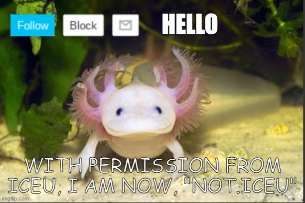 AxolotlDudes announcement template | HELLO; WITH PERMISSION FROM ICEU, I AM NOW, "NOT.ICEU" | image tagged in axolotldudes announcement template | made w/ Imgflip meme maker