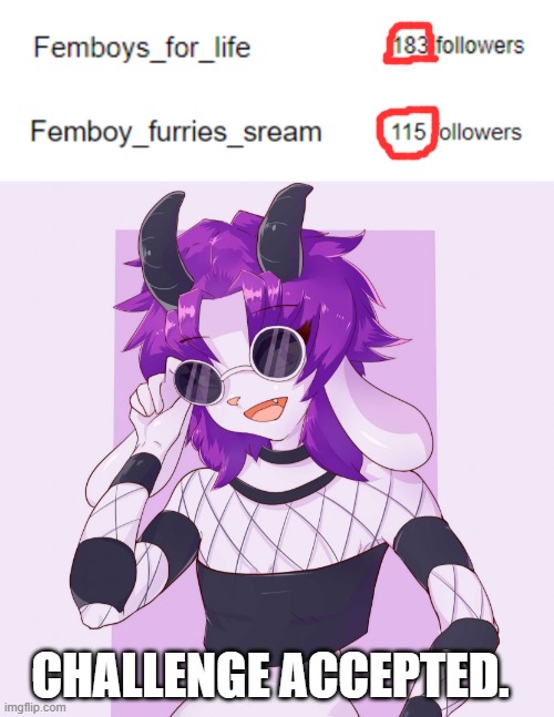 Hehehe | CHALLENGE ACCEPTED. | image tagged in furry,femboy,cute,streams,followers | made w/ Imgflip meme maker