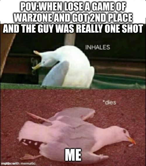 Sea gull dies | POV:WHEN LOSE A GAME OF WARZONE AND GOT 2ND PLACE AND THE GUY WAS REALLY ONE SHOT; ME | image tagged in sea gull dies | made w/ Imgflip meme maker