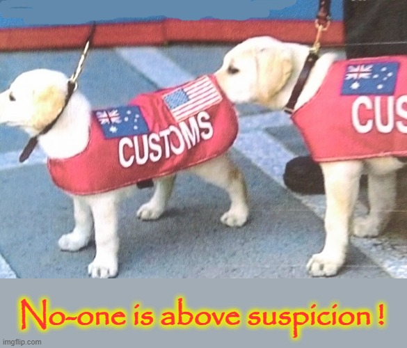 Sniffing out the Truth | No-one is above suspicion ! | image tagged in labrador | made w/ Imgflip meme maker