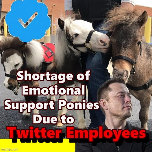Alert - Nationwide Shortage Of Emotional Support Ponies Coming !!! | image tagged in twitter,elon musk,emotional support animals,funny meme,memes,meme | made w/ Imgflip meme maker
