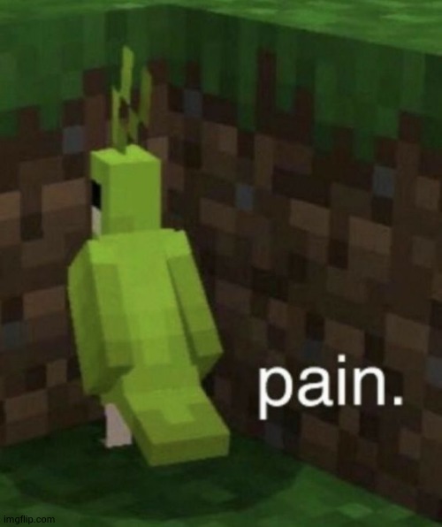 parrot suffering from pain | image tagged in parrot suffering from pain | made w/ Imgflip meme maker