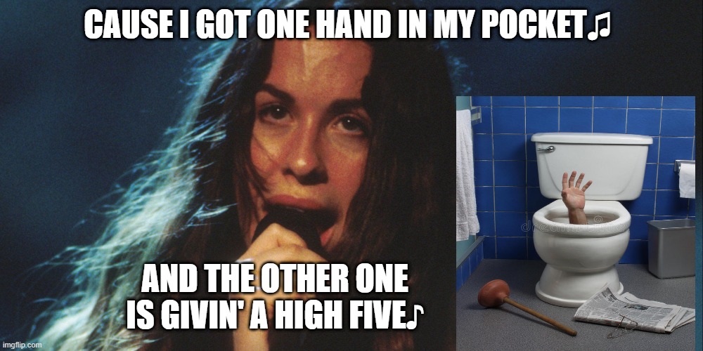 Flush it... |  CAUSE I GOT ONE HAND IN MY POCKET♫; AND THE OTHER ONE 
IS GIVIN' A HIGH FIVE♪ | image tagged in alanis,hands,toilet,high five,it's showtime,pocket | made w/ Imgflip meme maker