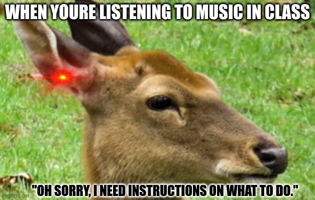 Earbudzzzz | WHEN YOURE LISTENING TO MUSIC IN CLASS; "OH SORRY, I NEED INSTRUCTIONS ON WHAT TO DO." | image tagged in and everybody loses their minds | made w/ Imgflip meme maker