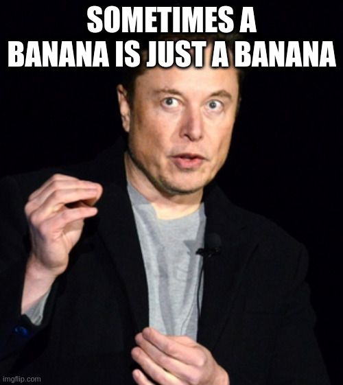 musk | SOMETIMES A BANANA IS JUST A BANANA | image tagged in musk | made w/ Imgflip meme maker