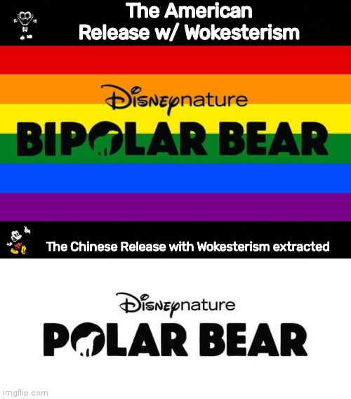 Disney bipolar bear censored for Chins | The American Release w/ Wokesterism; The Chinese Release with Wokesterism extracted | image tagged in black background | made w/ Imgflip meme maker