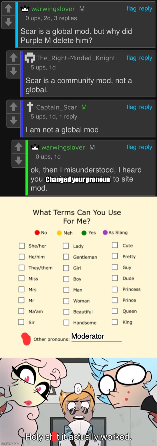 True story brah. if you Identify as a site mod, they make you a site mod | Changed your pronoun; Moderator | image tagged in pronouns sheet,holy shit it actually worked | made w/ Imgflip meme maker