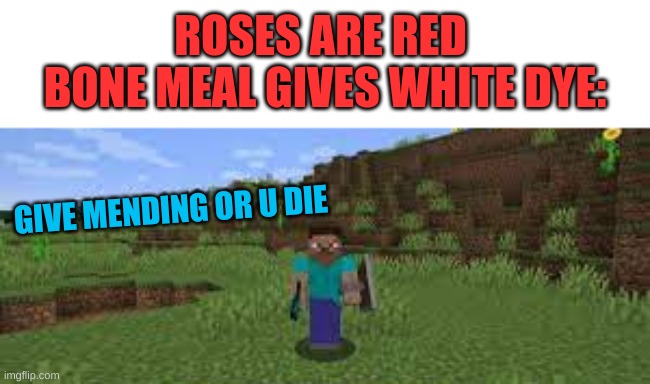 me to villager: | ROSES ARE RED 
BONE MEAL GIVES WHITE DYE:; GIVE MENDING OR U DIE | image tagged in minecraft villagers,minecraft steve,minecraft memes,mudkip | made w/ Imgflip meme maker