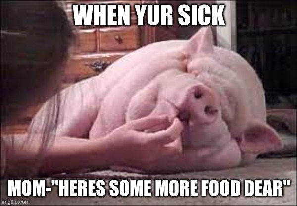 home rules | WHEN YUR SICK; MOM-"HERES SOME MORE FOOD DEAR" | image tagged in google search | made w/ Imgflip meme maker