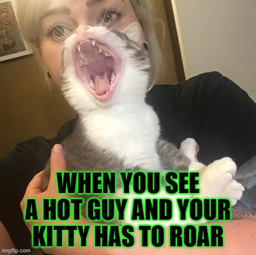 WHEN YOU SEE A HOT GUY AND YOUR KITTY HAS TO ROAR | image tagged in memes,funny,funny memes | made w/ Imgflip meme maker