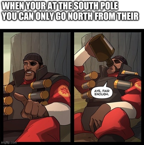 I mean think about it. | WHEN YOUR AT THE SOUTH POLE YOU CAN ONLY GO NORTH FROM THEIR | image tagged in aye fair enough | made w/ Imgflip meme maker