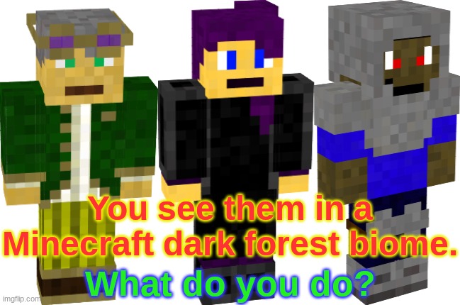 Some Minecraft characters I made. |  You see them in a Minecraft dark forest biome. What do you do? | image tagged in minecraft,roleplay | made w/ Imgflip meme maker