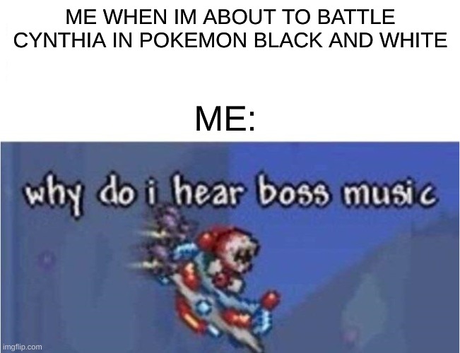 why do i hear boss music | ME WHEN IM ABOUT TO BATTLE CYNTHIA IN POKEMON BLACK AND WHITE; ME: | image tagged in why do i hear boss music,pokemon | made w/ Imgflip meme maker