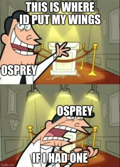 daily wof meme 74 | THIS IS WHERE ID PUT MY WINGS; OSPREY; OSPREY; IF I HAD ONE | image tagged in memes,this is where i'd put my trophy if i had one | made w/ Imgflip meme maker