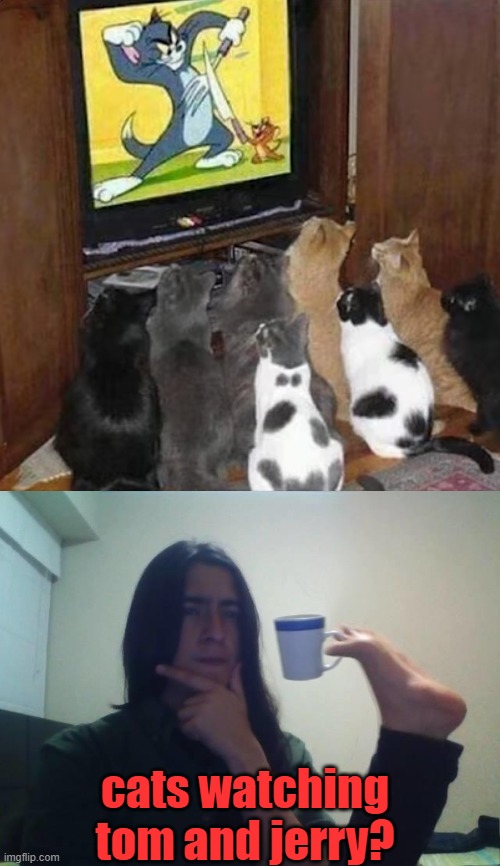 cats watching tom and jerry? | image tagged in teacup snape | made w/ Imgflip meme maker