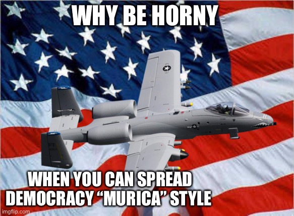 WHY BE HORNY; WHEN YOU CAN SPREAD DEMOCRACY “MURICA” STYLE | made w/ Imgflip meme maker