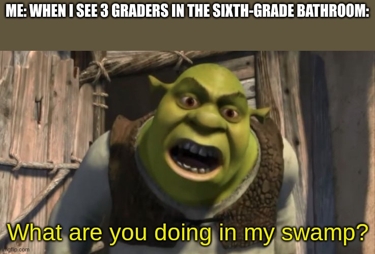 Shrek What are you doing in my swamp? | ME: WHEN I SEE 3 GRADERS IN THE SIXTH-GRADE BATHROOM:; What are you doing in my swamp? | image tagged in shrek what are you doing in my swamp | made w/ Imgflip meme maker