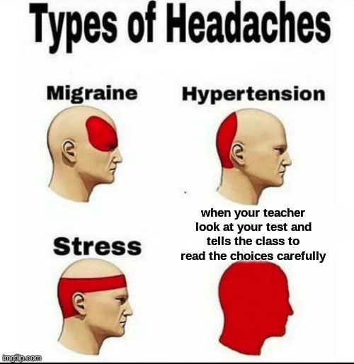 POV: You're doing a very important test | when your teacher look at your test and tells the class to read the choices carefully | image tagged in types of headaches meme | made w/ Imgflip meme maker
