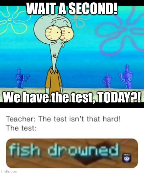 Two test memes atcha! | WAIT A SECOND! We have the test, TODAY?! | image tagged in squidward face,test,school | made w/ Imgflip meme maker