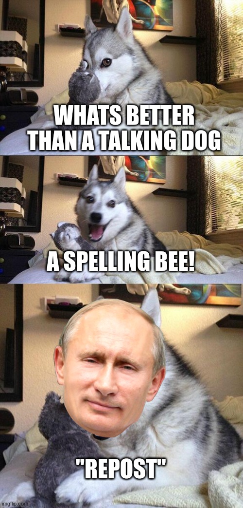yes it is a repost | WHATS BETTER THAN A TALKING DOG; A SPELLING BEE! "REPOST" | image tagged in memes,bad pun dog | made w/ Imgflip meme maker