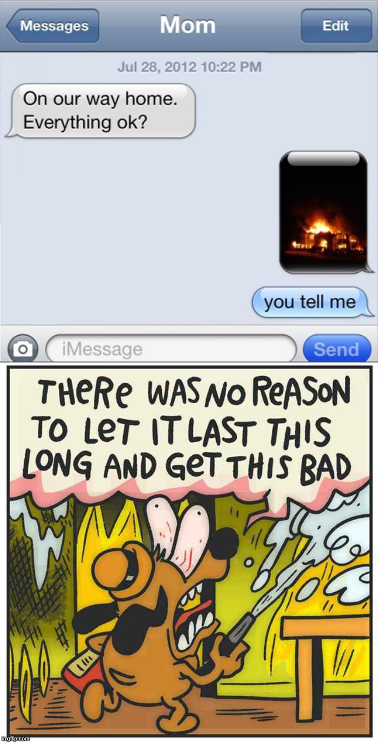 Burning down the house | image tagged in this is fine dog,burn baby burn,parents,it scares me | made w/ Imgflip meme maker