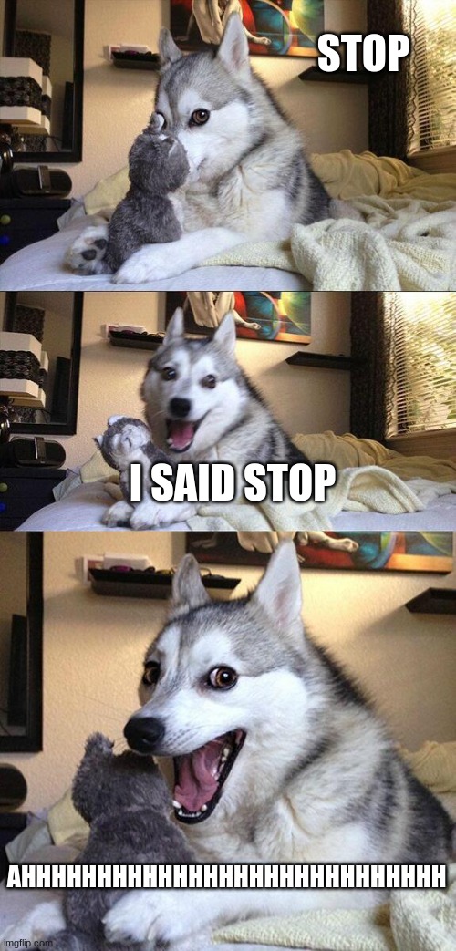 Bad Pun Dog Meme | STOP; I SAID STOP; AHHHHHHHHHHHHHHHHHHHHHHHHHHHH | image tagged in memes,bad pun dog | made w/ Imgflip meme maker