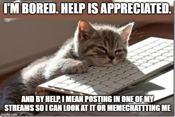 Not begging for upvotes, comments, or posts in my streams, just bored and want something to do | I'M BORED. HELP IS APPRECIATED. AND BY HELP, I MEAN POSTING IN ONE OF MY STREAMS SO I CAN LOOK AT IT OR MEMECHATTTING ME | image tagged in bored keyboard cat | made w/ Imgflip meme maker