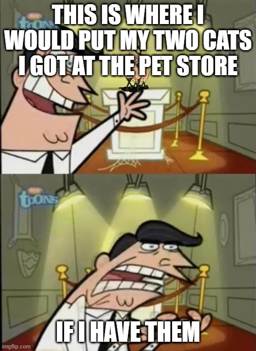 Fairly odd parents |  THIS IS WHERE I WOULD PUT MY TWO CATS I GOT AT THE PET STORE; IF I HAVE THEM | image tagged in fairly odd parents | made w/ Imgflip meme maker