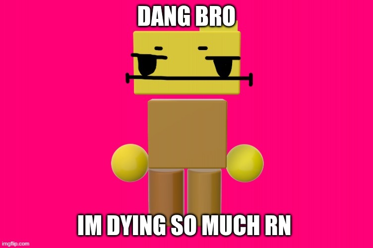 DANG BRO IM DYING SO MUCH RN | made w/ Imgflip meme maker