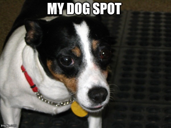 MY DOG SPOT | made w/ Imgflip meme maker