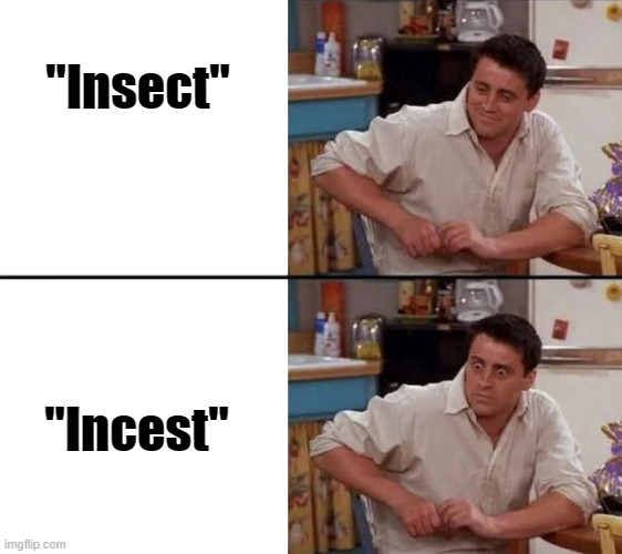 Surprised Joey | "Insect"; "Incest" | image tagged in surprised joey | made w/ Imgflip meme maker