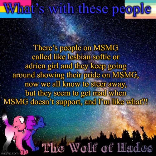 I don’t get it | What’s with these people; There’s people on MSMG called like lesbian softie or adrien girl and they keep going around showing their pride on MSMG, now we all know to steer away, but they seem to get mad when MSMG doesn’t support, and I’m like what?! | image tagged in thewolfofhades announcement templete | made w/ Imgflip meme maker