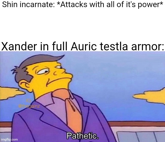Oc meme | Shin incarnate: *Attacks with all of it's power*; Xander in full Auric testla armor: | image tagged in pathetic | made w/ Imgflip meme maker
