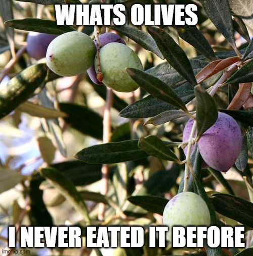WHATS OLIVES; I NEVER EATED IT BEFORE | made w/ Imgflip meme maker