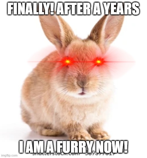 rebbit be like | FINALLY! AFTER A YEARS; I AM A FURRY NOW! | image tagged in memes,rabbits,is,a,furry | made w/ Imgflip meme maker