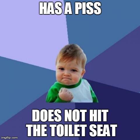 Pure Success...  | HAS A PISS DOES NOT HIT THE TOILET SEAT | image tagged in memes,success kid | made w/ Imgflip meme maker