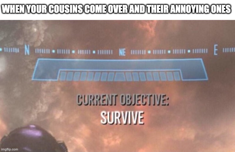 Current Objective: Survive | WHEN YOUR COUSINS COME OVER AND THEIR ANNOYING ONES | image tagged in current objective survive | made w/ Imgflip meme maker