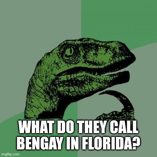 Philosoraptor | WHAT DO THEY CALL BENGAY IN FLORIDA? | image tagged in memes,philosoraptor | made w/ Imgflip meme maker
