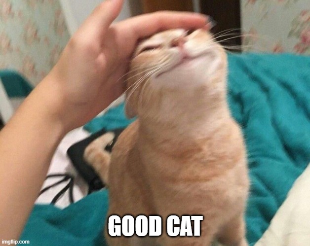 praise cat | GOOD CAT | image tagged in praise cat | made w/ Imgflip meme maker